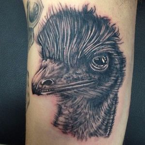 Black and grey realistic emu tattoo by Jason Turner. #emu #Australia #Australiananimal #Australianfauna #blackandgrey #realism #JasonTurner