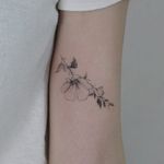 Magnolia flower tattoo by Tattooist Flower #TattooistFlower #flowertattoos #koreanartist #fineline #linework #realism #realistic #simple #minimal #small #flower #magnolia #leaves #nature #tattoooftheday