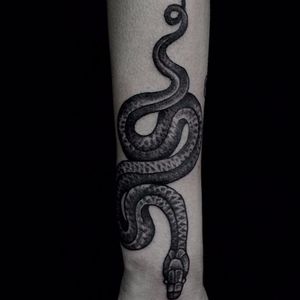 #TaviaJucksch #BlackWork #DotWork #Pontilhismo #tatuadorasbrasileiras #TatuadorasDoBrasil #cobra #serpente #snake
