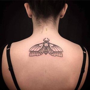Moth tattoo by Ashley Dale  #AshleyDale #monochromatic #monochrome #blackwork #nature #moth