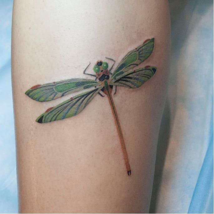 Green and blue dragonfly tattoo by Jean Alvarez  Dragonfly tattoo Dragonfly  tattoo design Tattoos