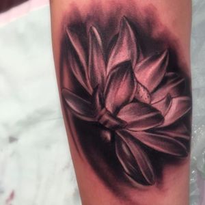 Flor de lótus por Bonny Pamella! #tatuadorasbrasileiras #tatuadorasdobrasil #tattoobr #tattoodobr #SãoPaulo #realismo #realism #realista #realistic #lotusflower #flordelotus #flor #flower #nature #natureza