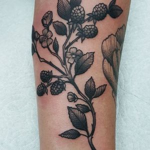 Illustrative blackwork blackberry tattoo by Jessy D. #fruit #blackberry #berry #blackwork #illustrative #JessyD