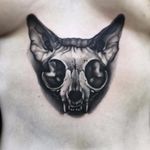 Cat Skull Tattoo, artist unknown #catskull #catskulltattoo #catskulltattoos #animalskull #animalskulltattoo #cat #cattattoos #blackwork blackworkcatskull