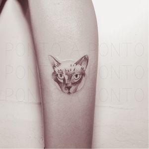 Cat tattoo by Ponto Tattoo #PontoTattoo #dotwork #pointillism #small #cat