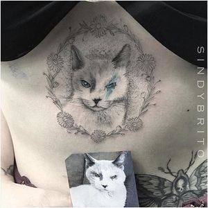 Cat tattoo by Sindy Brito. #SindyBrito #fineline #subtle #cat