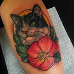Adorable cat tattoo #cat #portrait #blossom #cattattoo #JoeFrost #animal #animaltattoo #neotraditional