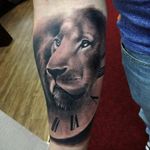 Tattoo por Connor Prue! #ConnorPrue #blackandgrey #realism #realismo #pretoecinza #blackandgreyrealism #lion #leão