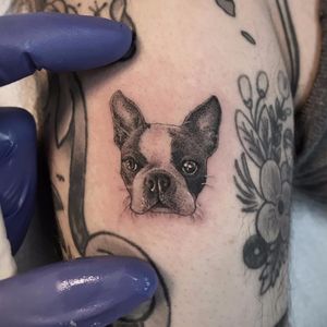 The tiniest pug ever by Ben Grillo #BenGrillo #blackandgrey #realism #realistic #hyperrealism #petportrait #pug #puglife #puppy #dog #animal #tattoooftheday