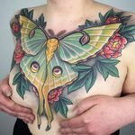 A gorgeous and massive lunar moth by Dan Pemble (IG—danpemble). #bug #DanPemble #lunarmoth #neotraditional