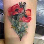 Poppy tattoo by Amy Autumn #AmyAutumn #flower #realism #colour #poppy