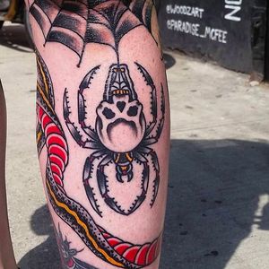 Rad spider and web tattoo done by Douglas Grady. #DouglasGrady #traditionaltattoo #coloredtattoo #brightandbold #spider #web #snake
