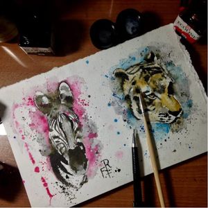 #zebra #onça #RobertoFelizatti #aquarela #watercolor #ilustração #desenhosexclusivos #coloridas #brasil #brazil #portugues #portuguese