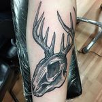 Jackalope tattoo by Chad Buehler. #jackalope #fable #imaginary #animal #antler #rabbit #skull #animalskull #ChadBuehler