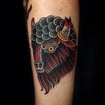 Buffalo Tattoo by Marina Goncharova #Buffalo #BuffaloTattoo #Bison #AmericanTraditional #Traditional #MarinaGoncharova