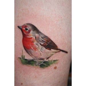 Painterly realism robin tattoo by Charlotte Ross. #realism #colorrealism #painterly #CharlotteRoss #bird #robin