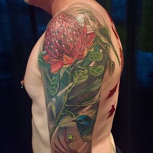 Waratah and bird sleeve by Clare Keton. #bird #flower #waratah #sleeve #neotraditional #ClareKeton