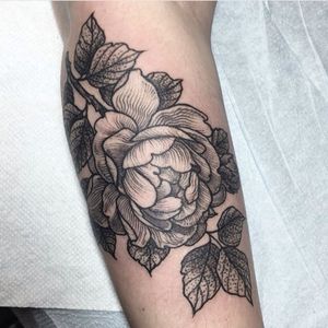Pretty Rose Tattoo by Rachel Hauer #Linework #Rose #RachelHauer