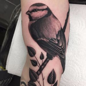 Birdy by Steve H Morante #SteveHMorante #blackandgrey #nature #bird #leaves #wings #feathers #realism #realistic #hyperrealism #branch #tattoooftheday