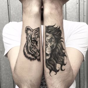 #AndreaBianchi #Bombayfoor #blackwork #fineline #tatuadoresgringos #tigre #tiger #leao #lion