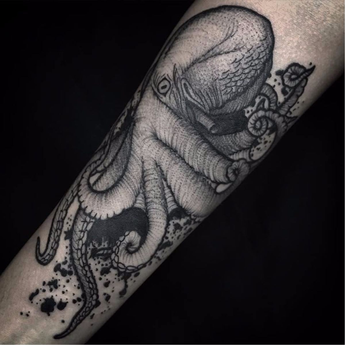 Tattoo uploaded by Luiza Siqueira • Polvo #PedroVeloso #brazilianartist ...