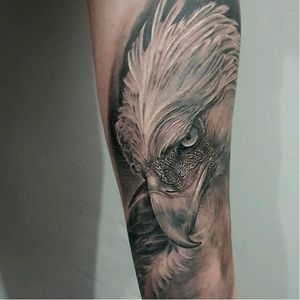 Eagle tattoo by Inky Joe #InkyJoe #blackandgrey #realistic #animal #eagle #realisticeagle #realism