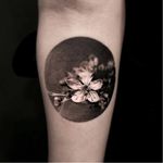Cherry blossom tattoo by JeongHwi #JeongHwi #blackandgrey #realistic #cherryblossom #flower