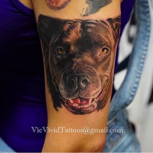 Awesome pet pitbull tattoo #VicVivid #realism #pitbull #portrait #dog