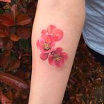 Poppies by Amanda Wachob (via IG-amandawachob) #flowers #floral #watercolor #color #illustrative #AmandaWachob