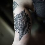 Conch Tattoo by Osman Santos #ConchTattoo #Shells #ShellTattoos #SeashellTattoo #Seashell #OsmanSantos