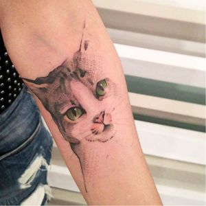 Lindo gato em aquarela pelo Victor Zanotto! #VictorZanotto #Aquarela #AquarelaTattoo #watercolortattoo #CatTattoo #Cat #Gato #GatoTattoo  #TatuadoresBrasileiros #TatuadoresBrasil #Brasil