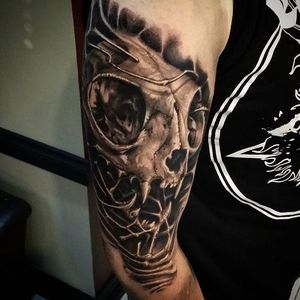 Bobcat skull tattoo by Insamnia. #blackandgrey #realism #Insamnia #skull #animalskull #bobcat #bobcatskull