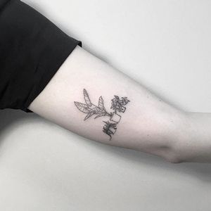 House plant tattoos by Julia Shpadyreva. #JuliaShpadyreva #blackwork #fineline #houseplant #pottedplants