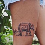 Mamãe e filhote elefante! #elefante #elephant #fineline #delicada #minimalista #RaphaelLopes #metamorphosis #RioDeJaneiro #brasil #brazil #portugues #portuguese