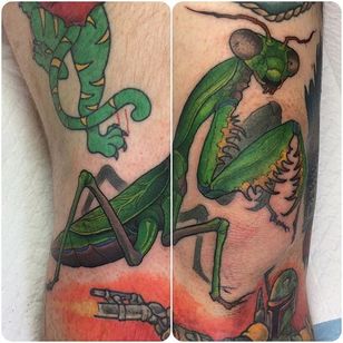 Una mantis lista para tirarse encima.  Por Crispy Lennox.  #insecto #payingmantis #neotradicional #styledrealism #CrispyLennox
