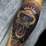 Tribal baboon tattoo by Cree McCahill. #neotraditional #tribal #baboon #CreeMcCahill