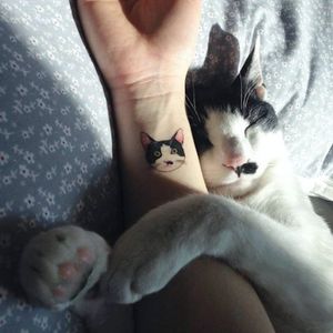 Cattoo via instagram soltattoo #cat #Cattoo #pet #petportrait #color #soltattoo #microtattoo
