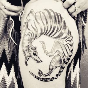 An abstract neo-traditional Tasmanian tiger tattoo by @dax_tattoos. #abstract #neotraditional #fauna #Australiananimal #Australia #TasmanianTiger #extinct #dax_tattoos