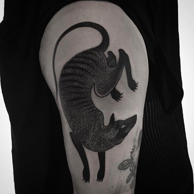 jackal tattoo