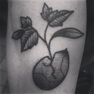 Tiny tomato sprout tattoo by Shaun Hanna. #tomato #sprout #plant #ShaunHanna