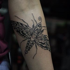Tattoo by Franco Maldonado #FrancoMaldonado #blackandgrey #illustrative #newtraditional #darkart #surreal #moth #insect #wings #pattern #nature #dotwork #linework