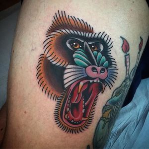 Baboon by Phil DeAngulo (via IG-midwestphil) #babboon #animal #color #traditional #bold #PhilDeAngulo