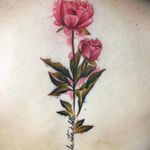 Watercolour realism peonies tattoo by Chloe Aspey #ChloeAspey #peonies #flower #realistic #watercolour