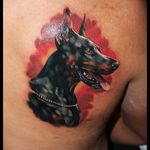 Color realism doberman tattoo by Veronika Raubtier. #realism #colorrealism #petportrait #dog #doberman #VeronikaRaubtier