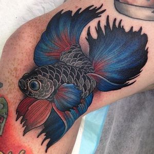 A beautifully colored fish tattoo by Crispy Lennox. #fish #neotraditional #styledrealism #CrispyLennox