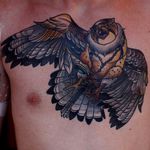 Falcon Tattoo by Jim Gray #NeoTraditional #NoeTraditionalTattoos #NeoTraditionalArtists #JimGray