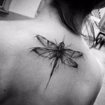 #InezJaniak #sketch #sketchtattoo #sketchstyle #rascunho #tattoorascunho #libelula #dragonfly
