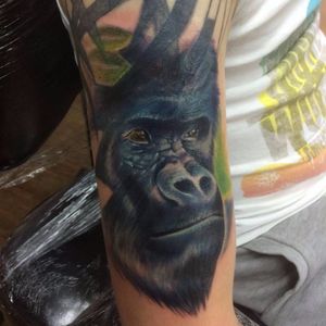 Tattoo por Connor Prue! #ConnorPrue #realism #realismo #gorila #realismocolorido #gorilla #animals #animais #nature #natureza