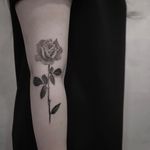 Rose tattoo by Cold Gray #ColdGray #rosetattoos #blackandgrey #realism #realistic #rose #flower #thorns #leaves #nature #floral #tattoooftheday