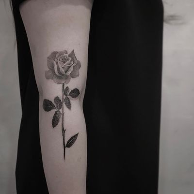 Rose tattoo by Cold Gray #ColdGray #rosetattoos #blackandgrey #realism #realistic #rose #flower #thorns #leaves #nature #floral #tattoooftheday